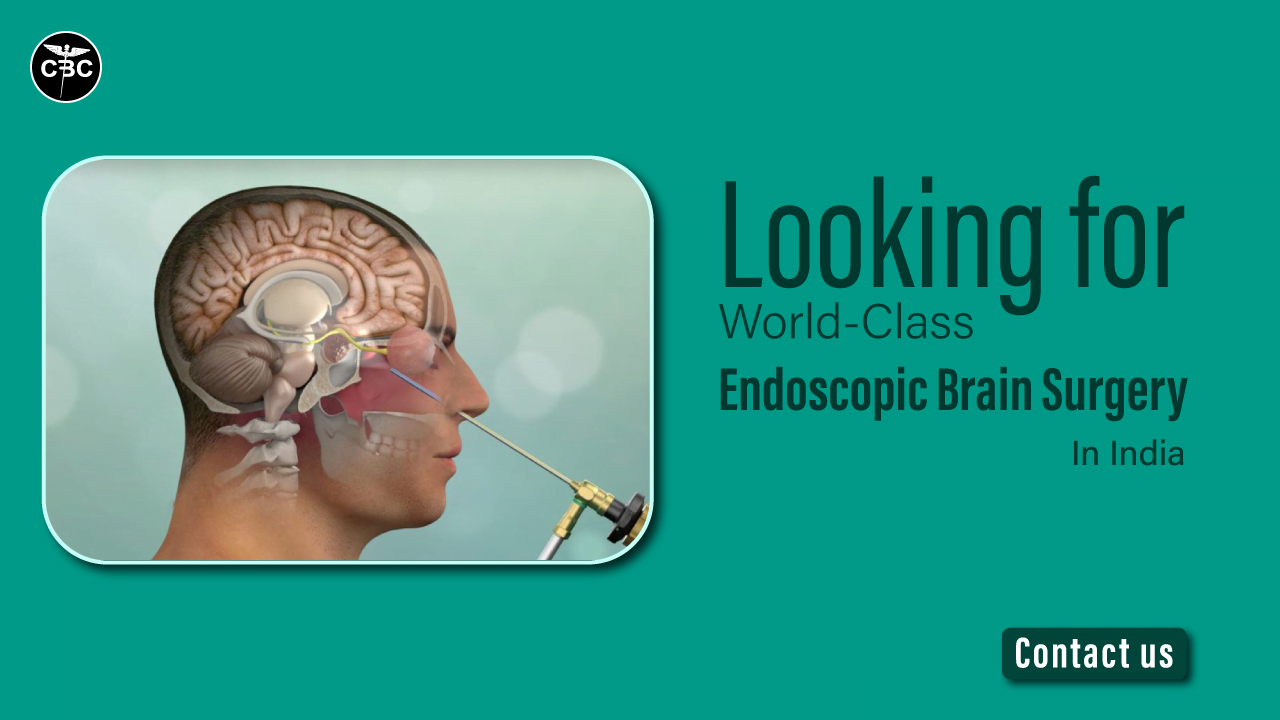 Endoscopic Brain Surgery Cost in India