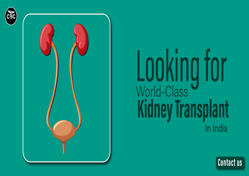 Kidney-Transplant